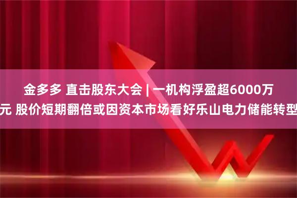 金多多 直击股东大会 | 一机构浮盈超6000万元 股价短期翻倍或因资本市场看好乐山电力储能转型