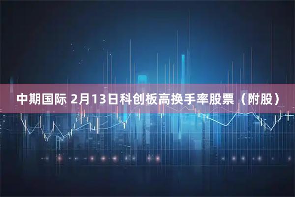 中期国际 2月13日科创板高换手率股票（附股）